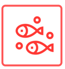 Modulo de siembra en Aplians Fish